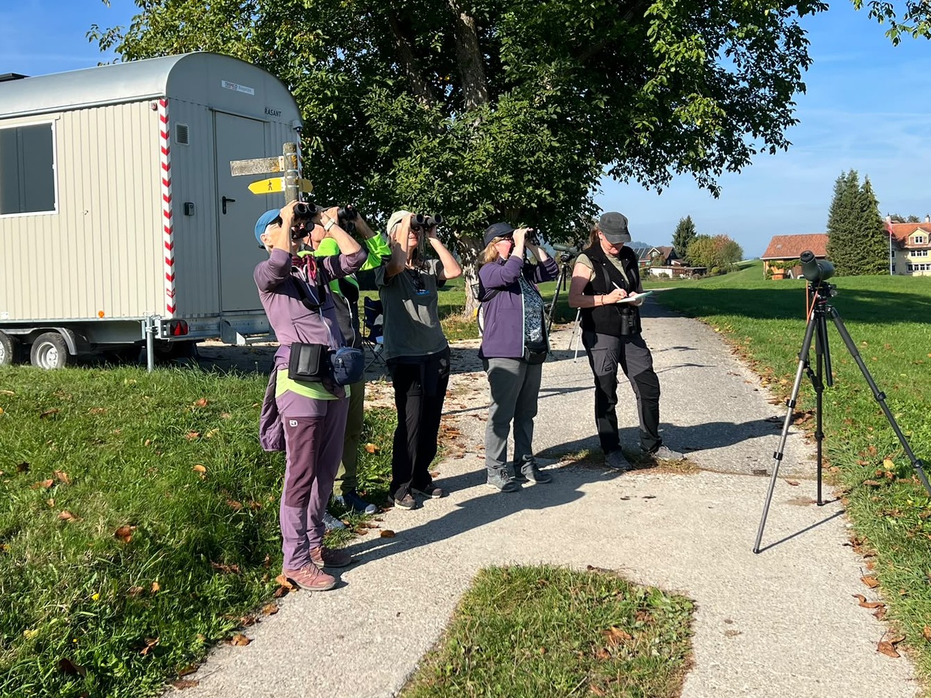 Bild Eurobirdwatch Giren, Flawil 2026